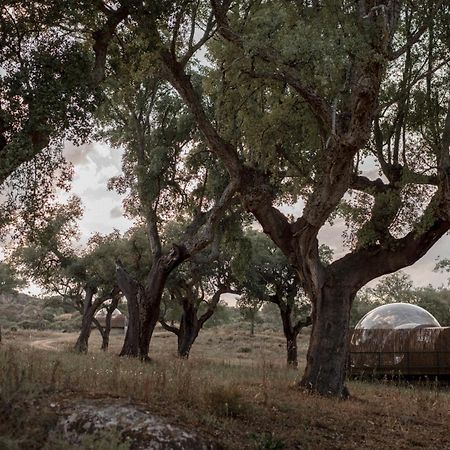 Finca El Cortinal Валенсія-де-Алькантара Екстер'єр фото