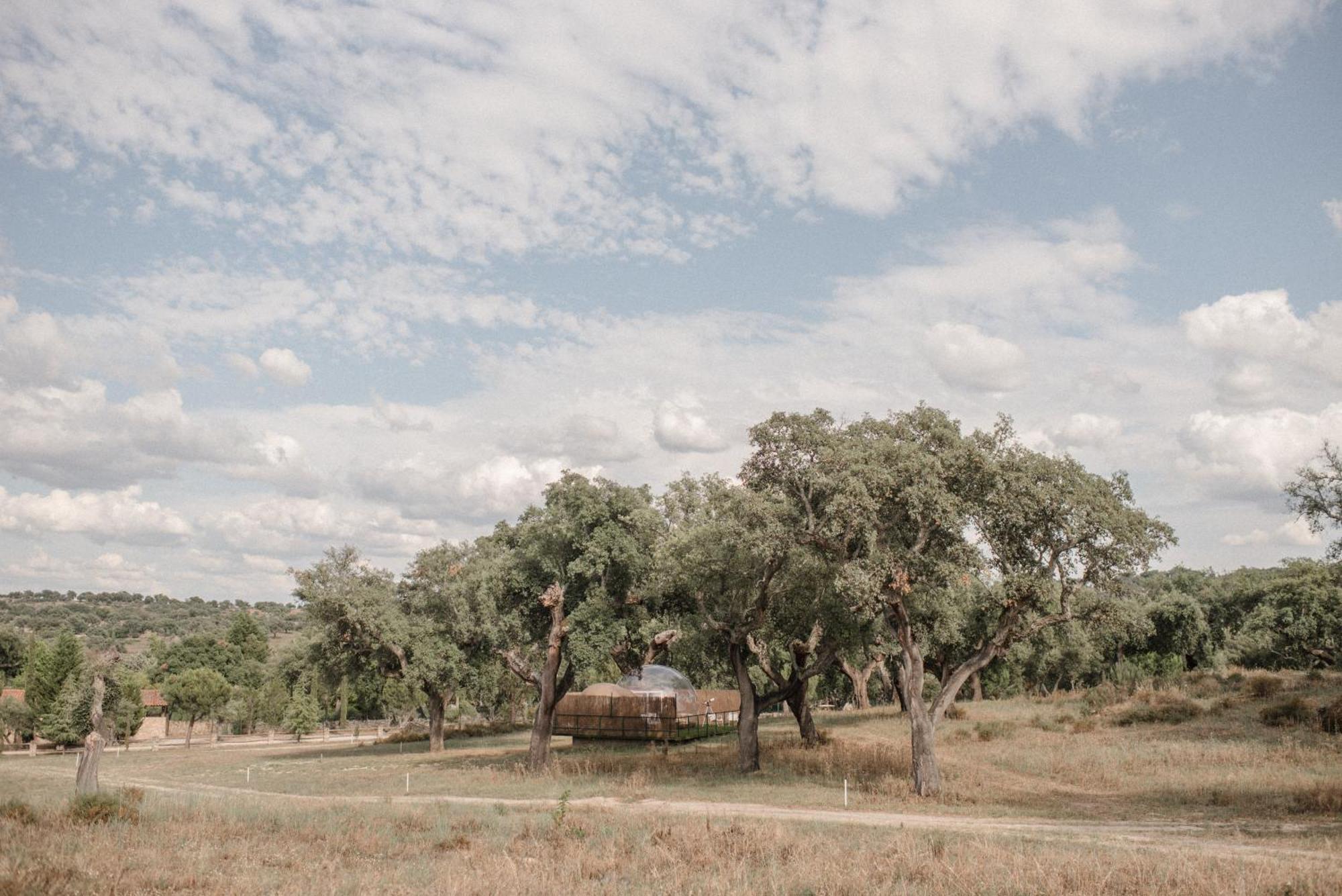 Finca El Cortinal Валенсія-де-Алькантара Екстер'єр фото